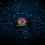 The Ultimate Guide to Shitcoins: Best Picks for 2024